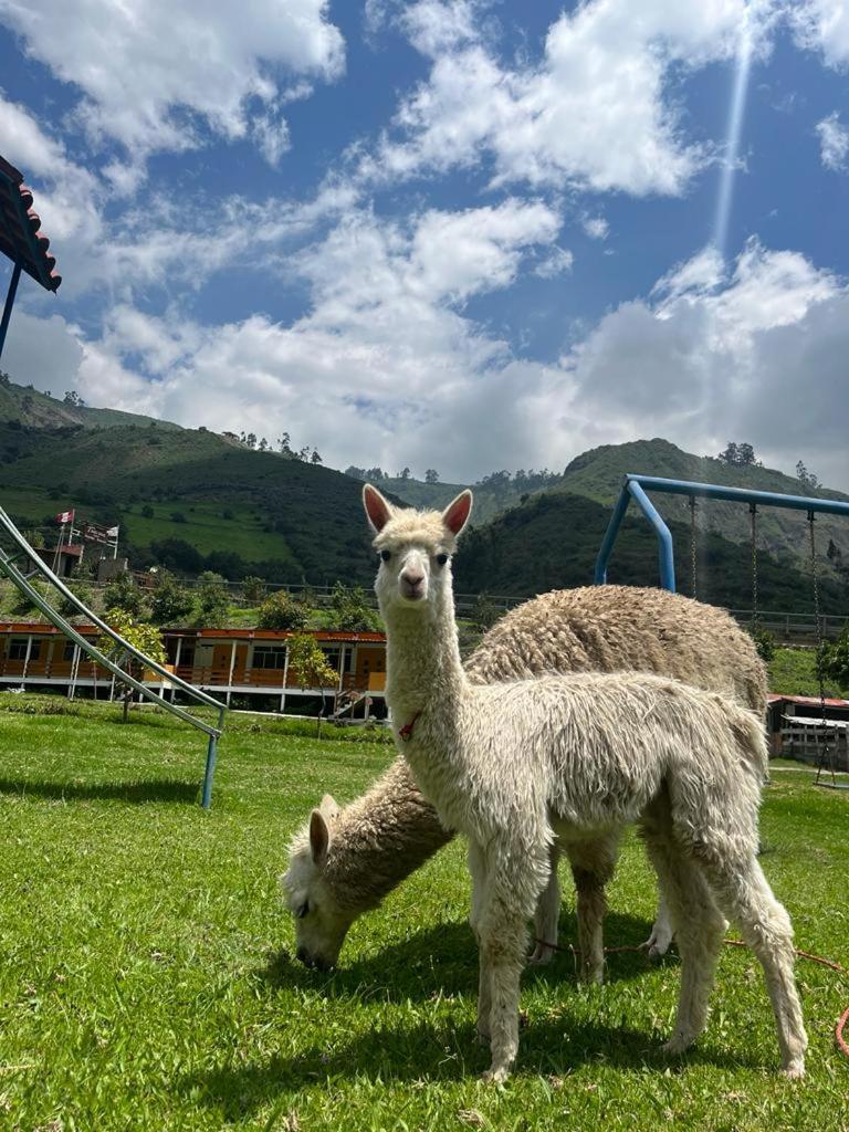 Tambo Lodge Canta Dış mekan fotoğraf